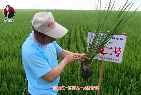 富?？h-龍安橋鎮